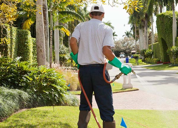 About Maysville AR Pest Control Pros